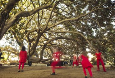 Cagliari: il 25 maggio  parte “Polline” festival di musica elettronica, elettroacustica