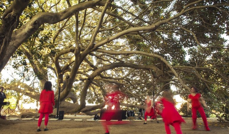 Cagliari: il 25 maggio  parte “Polline” festival di musica elettronica, elettroacustica