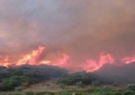 Programma antincendi in Sardegna: sindacati freddi e  delusi per non esser stati coinvolti