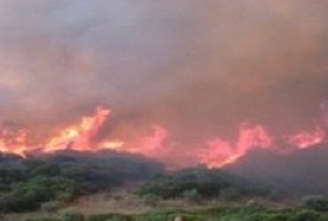 Programma antincendi in Sardegna: sindacati freddi e  delusi per non esser stati coinvolti