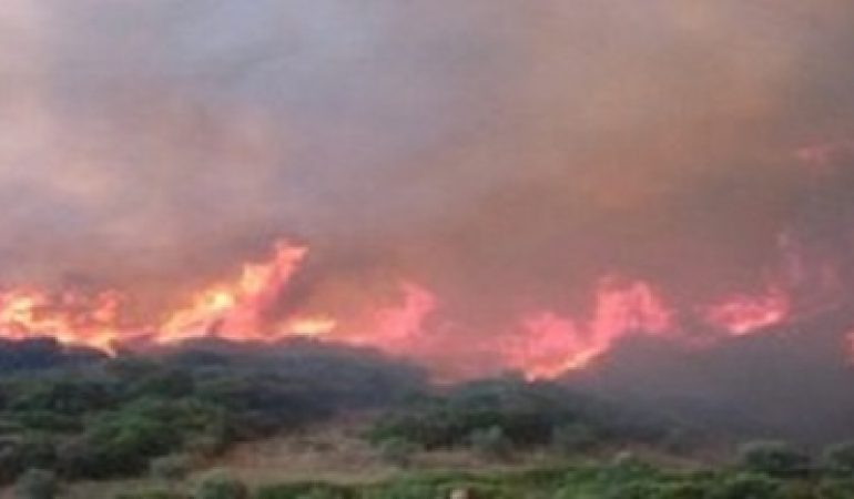 Programma antincendi in Sardegna: sindacati freddi e  delusi per non esser stati coinvolti