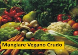 Intervista a Rosanna Gosamo consulente nutrizionale vegana  e autrice di “Meglio Crudo” 