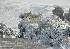 Sardegna: continuano  gelo e   nevicate fino alla mattina di mercoledì 18 gennaio