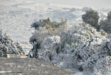 Sardegna: continuano  gelo e   nevicate fino alla mattina di mercoledì 18 gennaio