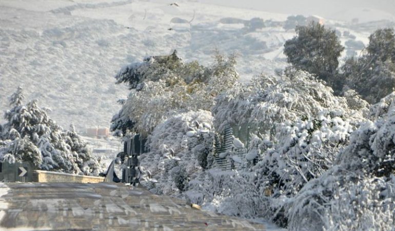 Sardegna: continuano  gelo e   nevicate fino alla mattina di mercoledì 18 gennaio