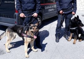 10 arresti in Sardegna e Campania per spaccio di droga e banconote false