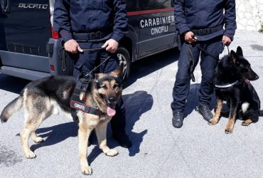 10 arresti in Sardegna e Campania per spaccio di droga e banconote false