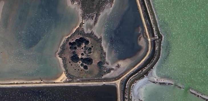 Una visita assai particolare: Sito neolitico lagunare di Cuccuru Ibba