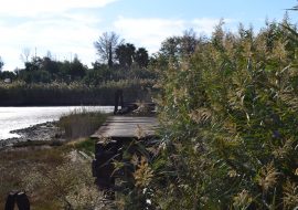 Pirri: il Parco di Terramaini tra cura del verde e abbandono del ponte