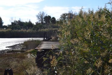 Pirri: il Parco di Terramaini tra cura del verde e abbandono del ponte