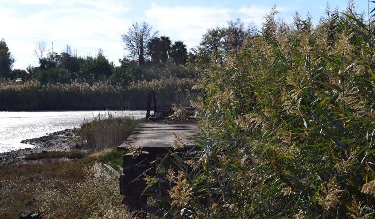 Pirri: il Parco di Terramaini tra cura del verde e abbandono del ponte