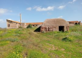 Una importante scoperta a Macchiareddu