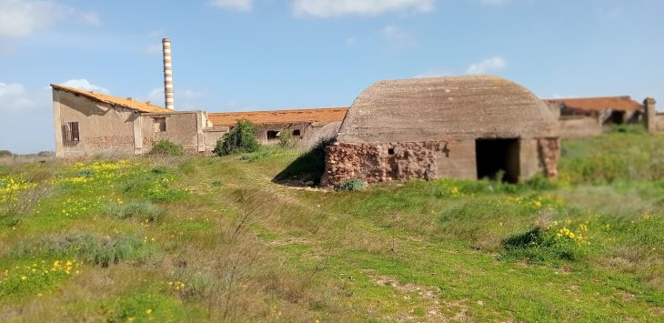 Una importante scoperta a Macchiareddu
