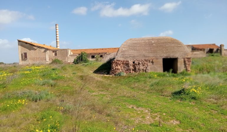 Una importante scoperta a Macchiareddu