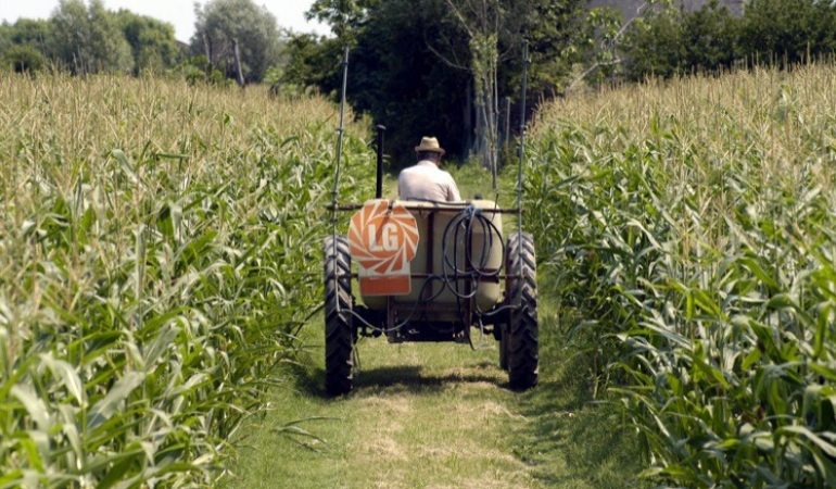 Pagamenti agricoli: alle aziende arrivano 5,2 milioni a copertura di 1062 domande