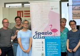 Conferenza sulla Laguna di Santa Gilla : operatori a confronto