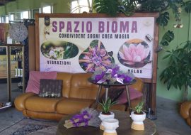 Seminario sulla fisica quantistica al centro Bioma Natura di Serrenti Seminario sulla fisica quantistica al centro Bioma Natura di Serrenti