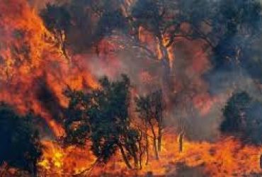 Indagini a un svolta per trovare i responsabili degli incendi a Sadali