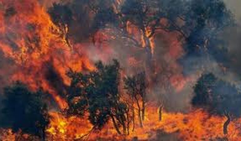 Indagini a un svolta per trovare i responsabili degli incendi a Sadali