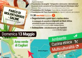 Cagliari: Ambiente, cucina e multicultura al Parco di Molentargius