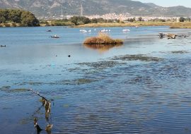 Una bella passeggiata in laguna per ritrovare le nostre radici,