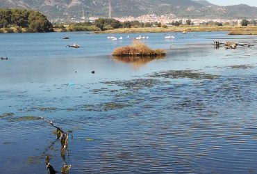 Una bella passeggiata in laguna per ritrovare le nostre radici,