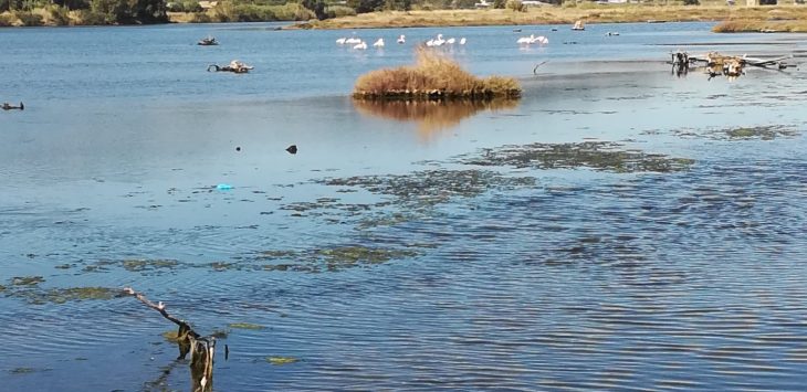 Una bella passeggiata in laguna per ritrovare le nostre radici,