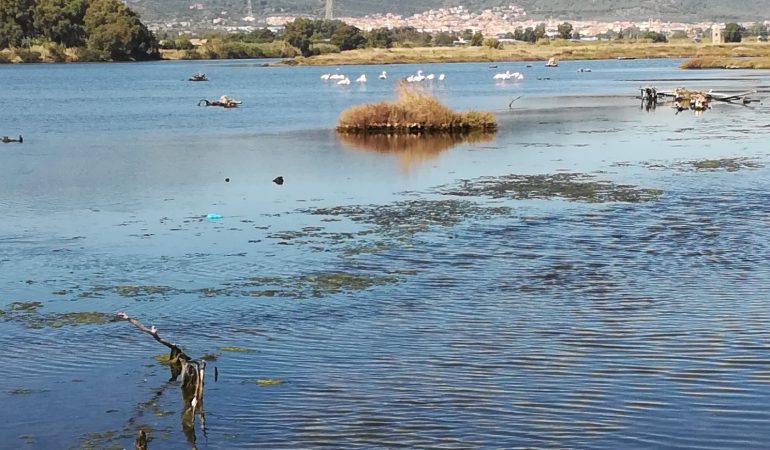 Una bella passeggiata in laguna per ritrovare le nostre radici,