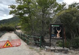 Il Parco dietro casa: Oasi di Monte Arcosu…