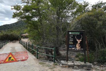 Il Parco dietro casa: Oasi di Monte Arcosu…