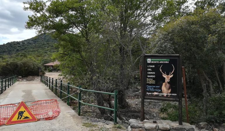 Il Parco dietro casa: Oasi di Monte Arcosu…