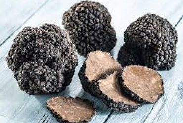 Sardegna a tavola: Il tartufo di Laconi, oro nero di Sardegna