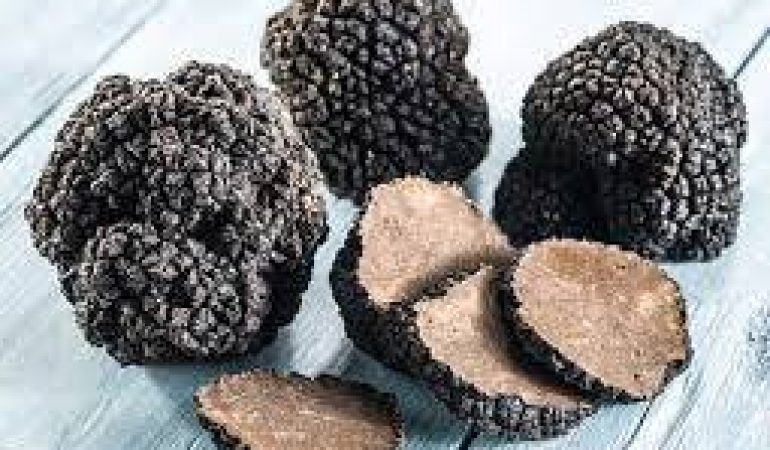 Sardegna a tavola: Il tartufo di Laconi, oro nero di Sardegna