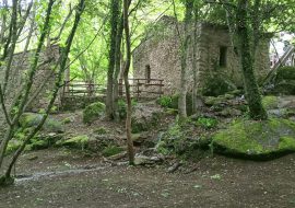 Una giornata alla Gualchiera di Tiana