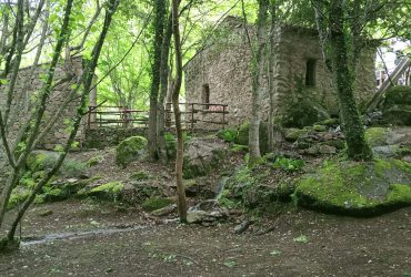 Una giornata alla Gualchiera di Tiana