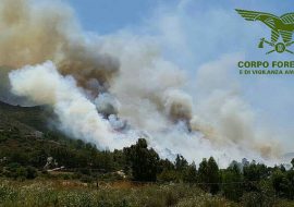 Corpo Forestale: un indagato per l’incendio di Gonnosfanadiga e Arbus.