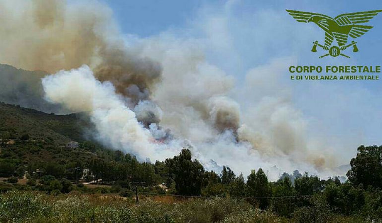 Corpo Forestale: un indagato per l’incendio di Gonnosfanadiga e Arbus.