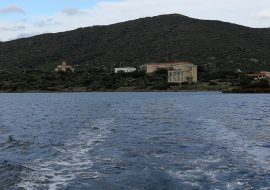 Attenzione sull’isola dell’Asinara da parte della Regione