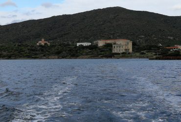 Attenzione sull’isola dell’Asinara da parte della Regione
