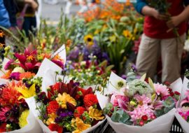 I fiorai non possono utilizzare l’acqua del Cimitero di San Michele