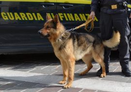 Aveva in auto 12 chili di droga: arrestato un cagliaritano a Porto Torres