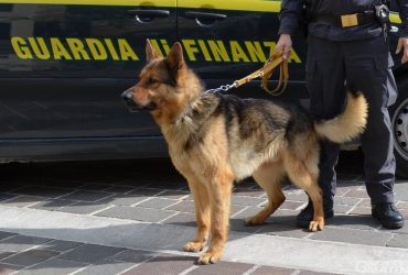 Aveva in auto 12 chili di droga: arrestato un cagliaritano a Porto Torres