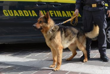 Operazioni antidroga delle Guardie di Finanza a Cagliari