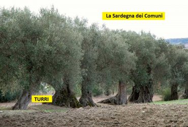 Rubrica: “La Sardegna dei Comuni” – Turri