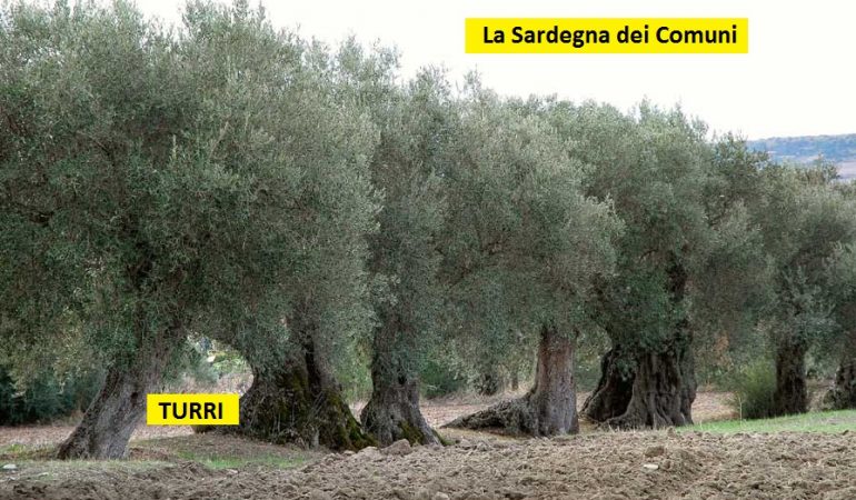 Rubrica: “La Sardegna dei Comuni” – Turri