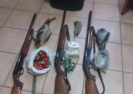 Caccia alla tortora: cinque cacciatori denunciati dal Corpo Forestale