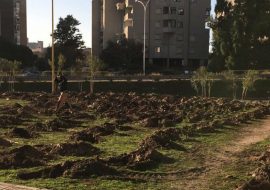 Festa degli alberi a Cagliari nel nuovo spazio di via Delogu e a monte Urpinu