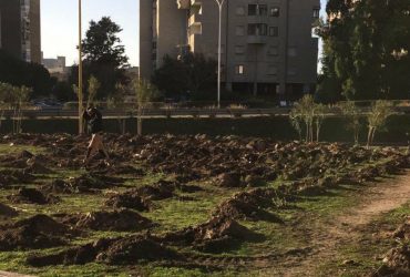 Festa degli alberi a Cagliari nel nuovo spazio di via Delogu e a monte Urpinu