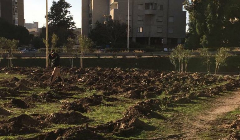 Festa degli alberi a Cagliari nel nuovo spazio di via Delogu e a monte Urpinu