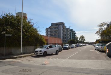 Rubrica: ”Una strada, un personaggio, una Storia” – Cagliari,  via Sigmund Freud